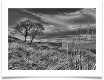 3. Wuthering 1 - Jim Dale 3. Wuthering 1 - Jim Dale